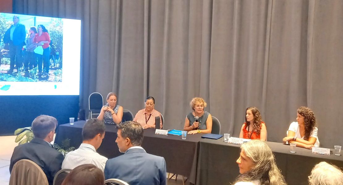 WhatsApp Image 2023-02-10 at 10.05.08